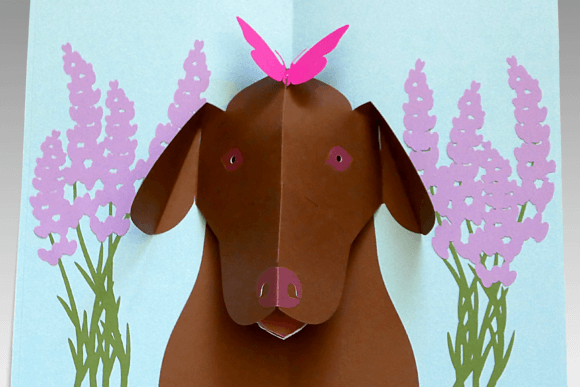 Labrador with Lavender Pop-up Card